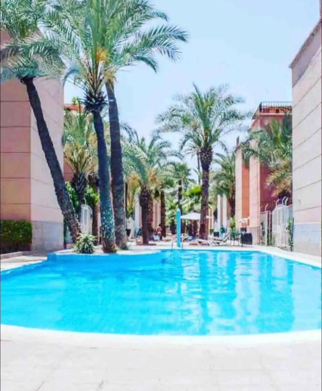 Butterfly Marrakech Riad Marrakesch